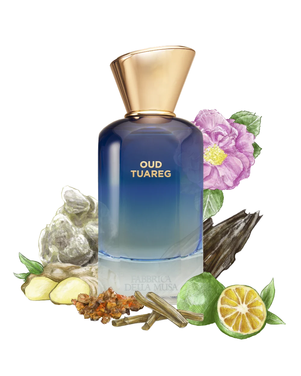 Fabbrica della Musa - Oud Tuareg Extrait de Parfum 100 ml